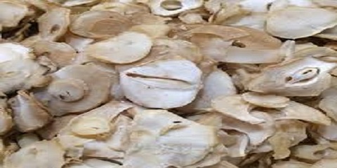 تصویر 2 از قیمت پرک موسیر اصل + فروش صادراتی